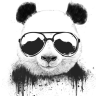 JerrBearFrance