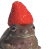 dankHug